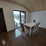 Veronika Domik Apartment Solochin