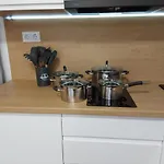 Veronika Domik Apartment Solochin