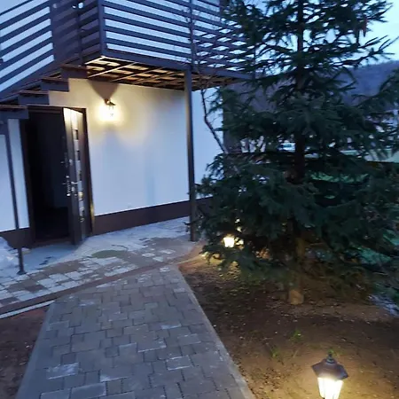 Veronika Domik Solochin