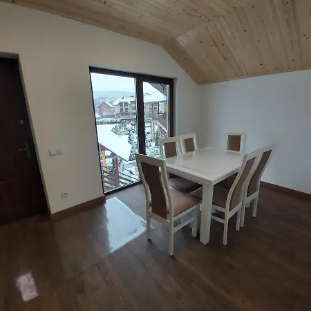 Veronika Domik Apartment Solochin