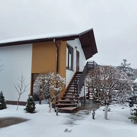 Apartment Veronika Domik Solochin