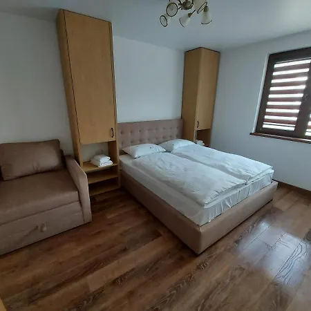 Veronika Domik Apartment Solochin