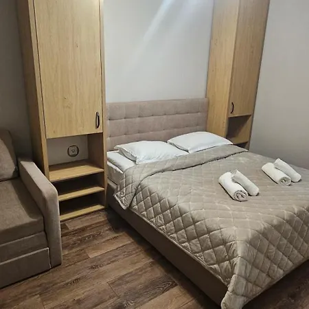 Veronika Domik Apartment Solochin