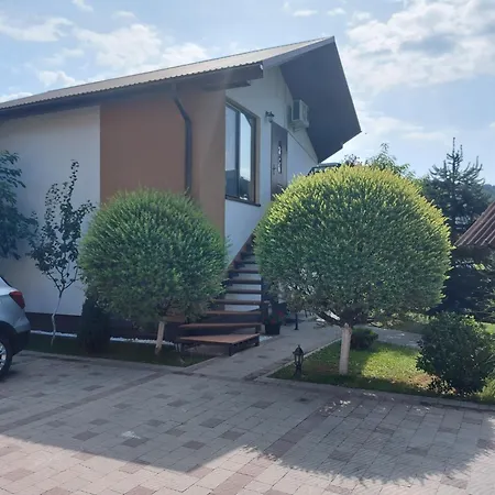 Veronika Domik Apartment Solochin